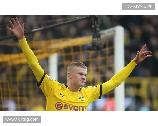 哈兰德 vs “吃饼”标签：数据与战术角色辩证